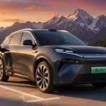 byd-haftung-fahrerassistenz-system