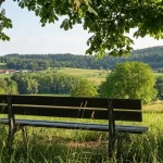 radfahrer-oberwolfach-tot