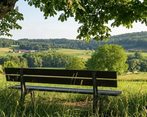 radfahrer-oberwolfach-tot