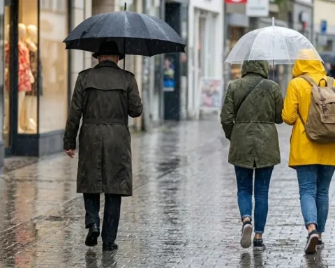 wuestentag-hitze-deutschland-prognose