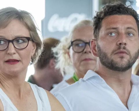 die-gruenen-klage-reform