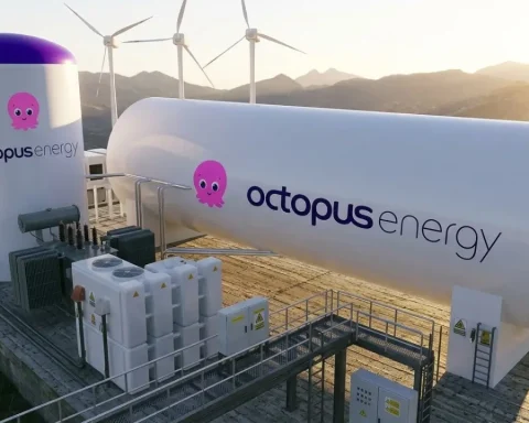 octopus energy pleite fakten