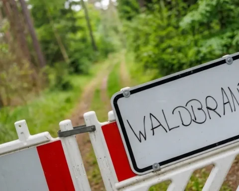 hitzewarnung-waldbrandgefahr-wochenende-bw