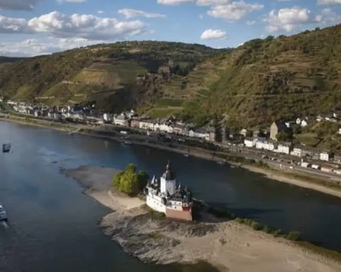 bonn-niedrigwasser-rhein-transporte