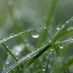 időjárás-veszprém-kühl-regen