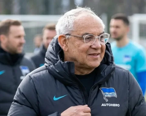 trainer-magath-hsv-zukunft-analyse