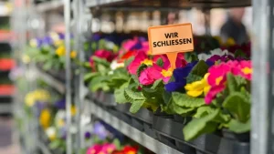 gartencenter-schliesst-nach-50-jahren