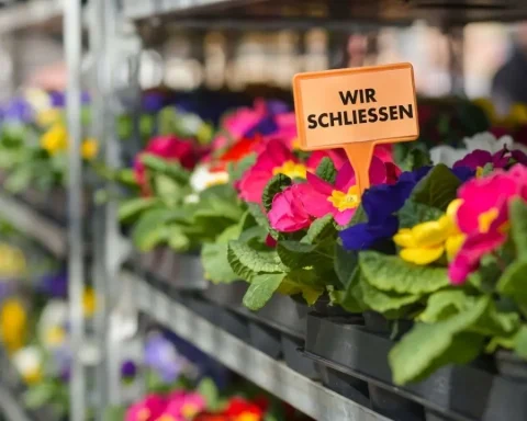 gartencenter-schliesst-nach-50-jahren