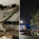 sturm-deutschland-tote-schaeden