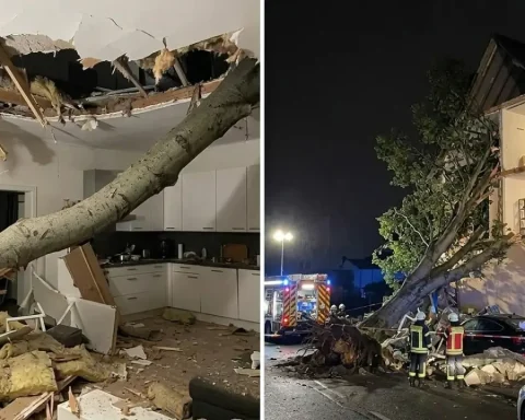 sturm-deutschland-tote-schaeden