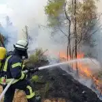 feuerwehr-waldbrand-monschau-eifel