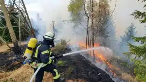 feuerwehr-waldbrand-monschau-eifel