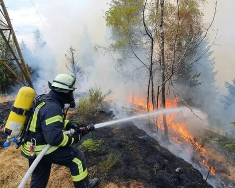 feuerwehr-waldbrand-monschau-eifel