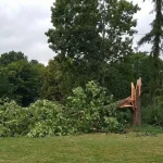sturm-ruegen-friedwald-gesperrt