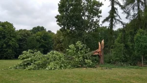 sturm-ruegen-friedwald-gesperrt