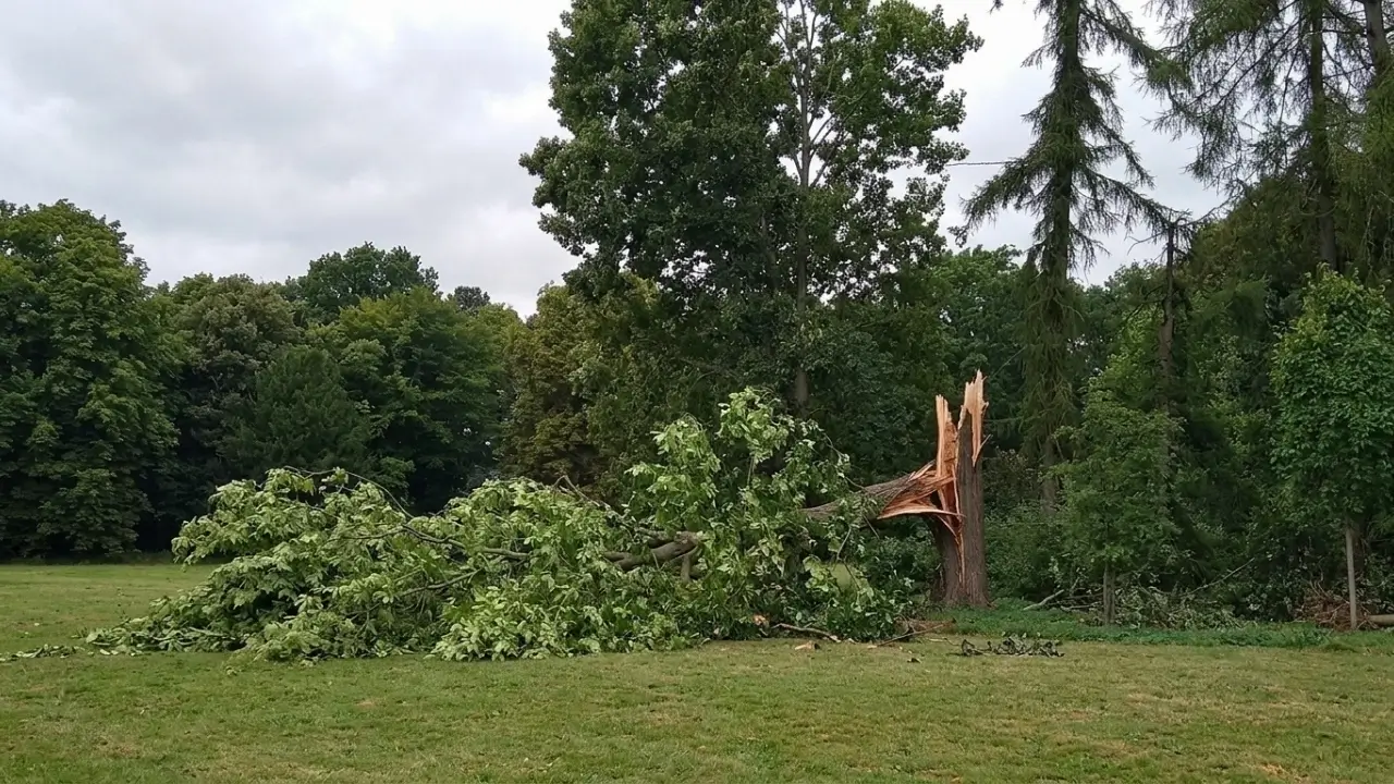 sturm-ruegen-friedwald-gesperrt