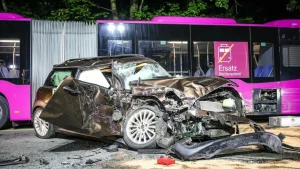 witten-horror-crash-unfall