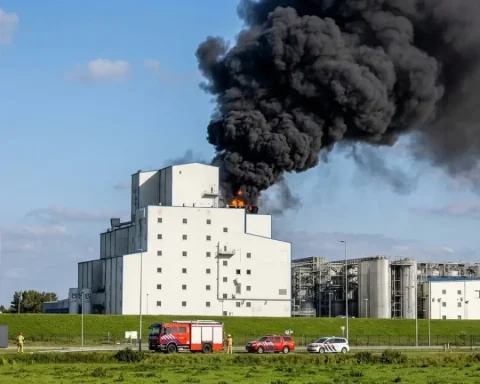 grossbrand-olenex-brake-millionenschaden