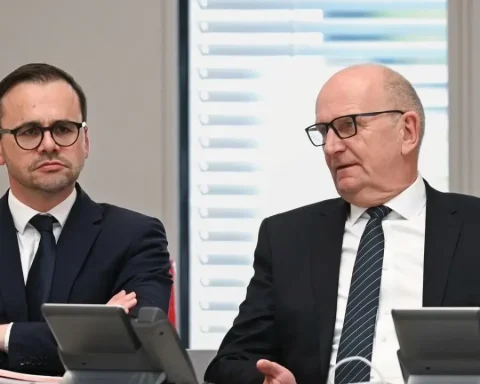 brandenburg afd umfrage landtagswahl