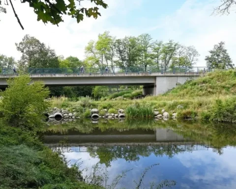 bruecke-marbach-neubau-expressbauweise