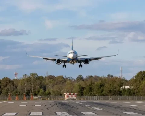 fluggesellschaft-animawings-stoppt-fluege