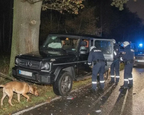 jaeger-alkoholfahrt-fuehrerschein-jagderlaubnis