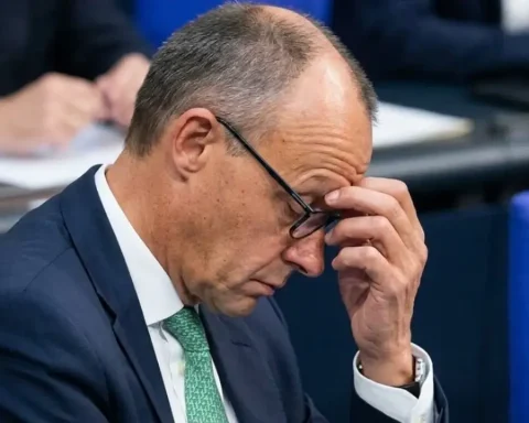 koalition-merz-reformen-gefahr