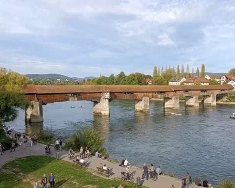 leichenteile-im-rhein-ermittlungen