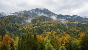 wandern-wanderer-rettet-frau