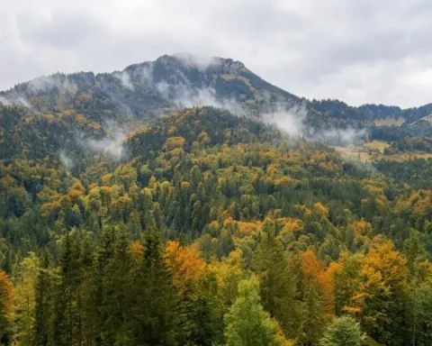 wandern-wanderer-rettet-frau