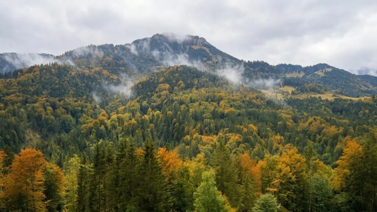 wandern-wanderer-rettet-frau